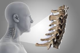 Image result for anterior approach cervical discectomy